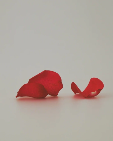 Suchy olejek Lost Alhambra Re.feel