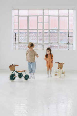 Rowerek trójkołowy Trike Pale Mint Banwood