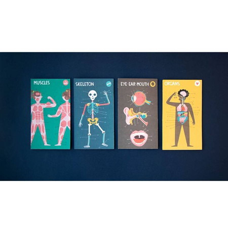 Gra edukacyjna Inside Me - Moje wnętrze Londji