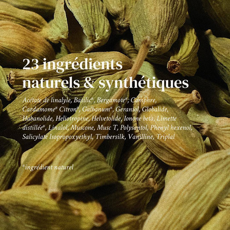 Perfumy Dimanche Flemme Versatile Paris