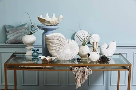 Muszla Kichi dekoracja mała Nordal