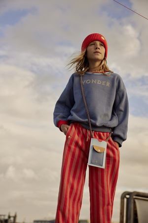 Etui na telefon zissou blue Sticky Lemon