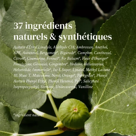 Perfumy SEA, SUD & SUN Versatile Paris