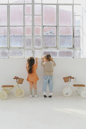 Rowerek trójkołowy Trike Pale Mint Banwood