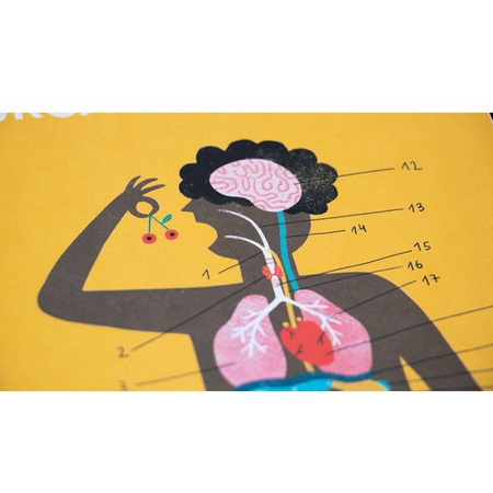 Gra edukacyjna Inside Me - Moje wnętrze Londji