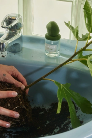 Perfumy I Fig You FASCENT