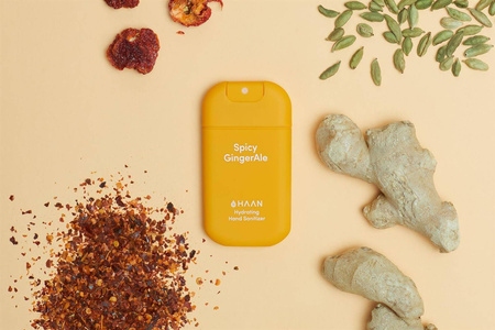 Spray do dezynfekcji Haan Shake It Up