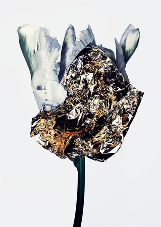 Rozświetlacz Storbelighter Elysian Manasi 7