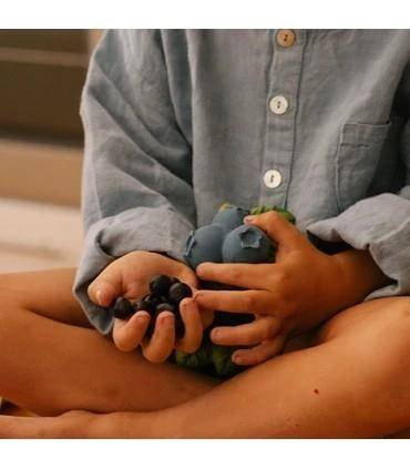 Gryzak zabawka Jagody Jerry Oli&Carol