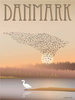 Plakat Denmark Murmuration ViSSEVASSE