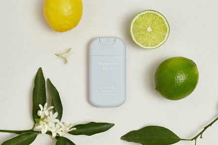 Spray do dezynfekcji Haan Shake It Up