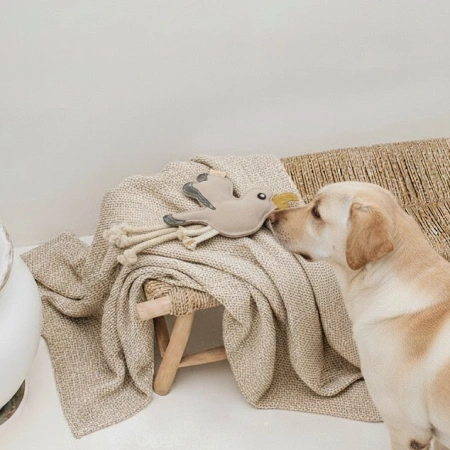 Zabawka dla psa Mewa BUDDY