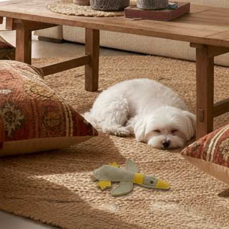 Zabawka dla psa Kaczka BUDDY