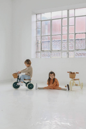 Rowerek trójkołowy Trike Pale Mint Banwood