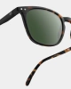 Okulary przeciwsłoneczne #E tortoise polarized IZIPIZI