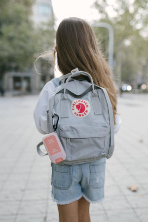 Etui na spray do dezynfekcji Haan