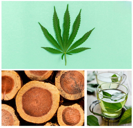 "Będę offline" cyfrowa kąpiel detoksykacyjna Dresdner Essenz