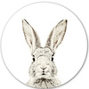 Naklejka magnetyczna Królik Ø60 Groovy Magnets