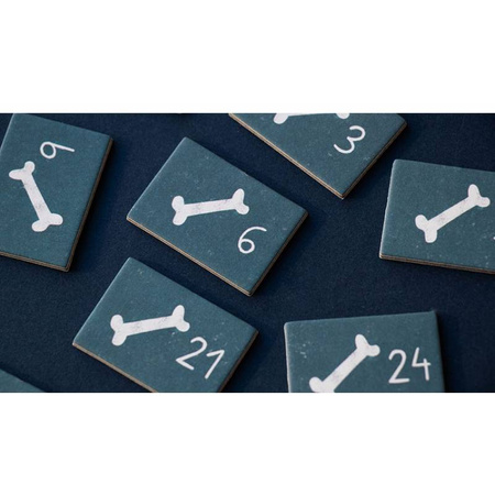 Gra edukacyjna Inside Me - Moje wnętrze Londji