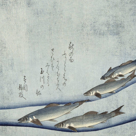 Naklejka magnetyczna okrągła Beauty of the trout Ø60cm Magnets