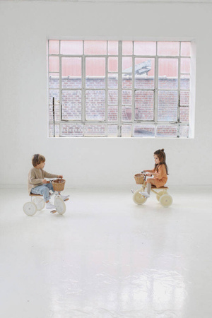 Rowerek trójkołowy Trike Pale Mint Banwood