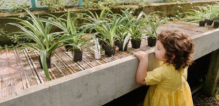 Spray odstraszający owady Baby Zeta 100ml Linea Mamma Baby