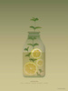 Plakat Lemonade ViSSEVASSE