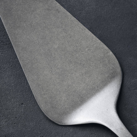 Łopatka do ciasta Daily Nicolas Vahe