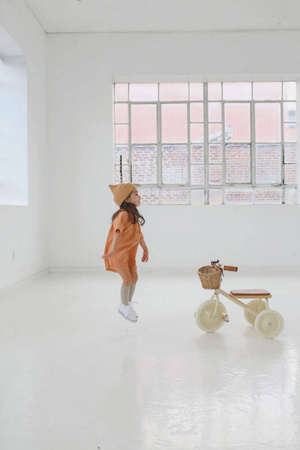 Rowerek trójkołowy Trike Pale Mint Banwood