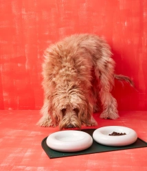 Miska ceramiczna dla psa biała HotDog