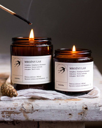 Świeca sojowa Mroźny Las Jaskółka