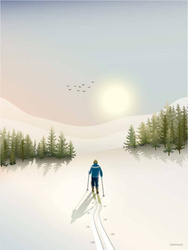 Plakat  CROSS-COUNTRY SKIING ViSSEVASSE